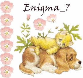 enigma2.gif picture by taed7
