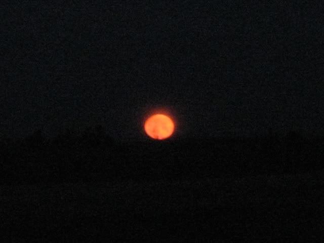 moonset4909.jpg