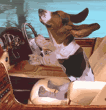 road trip photo: road trip 4d203455ecf704fd66ae8792ba2b380f.gif