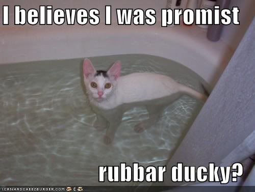 rubberducky.jpg