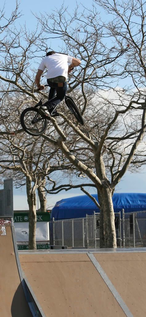 IMAGE: http://i212.photobucket.com/albums/cc308/tomespophoto/IMG_0689.jpg