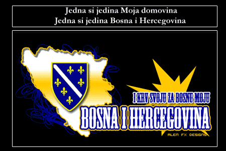 image: bosna