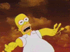 67203homer_whoa.gif