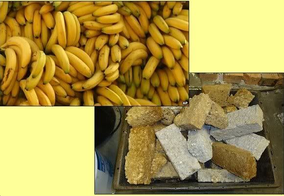 Click for full article - opens in a separate window Bananas and briquettes