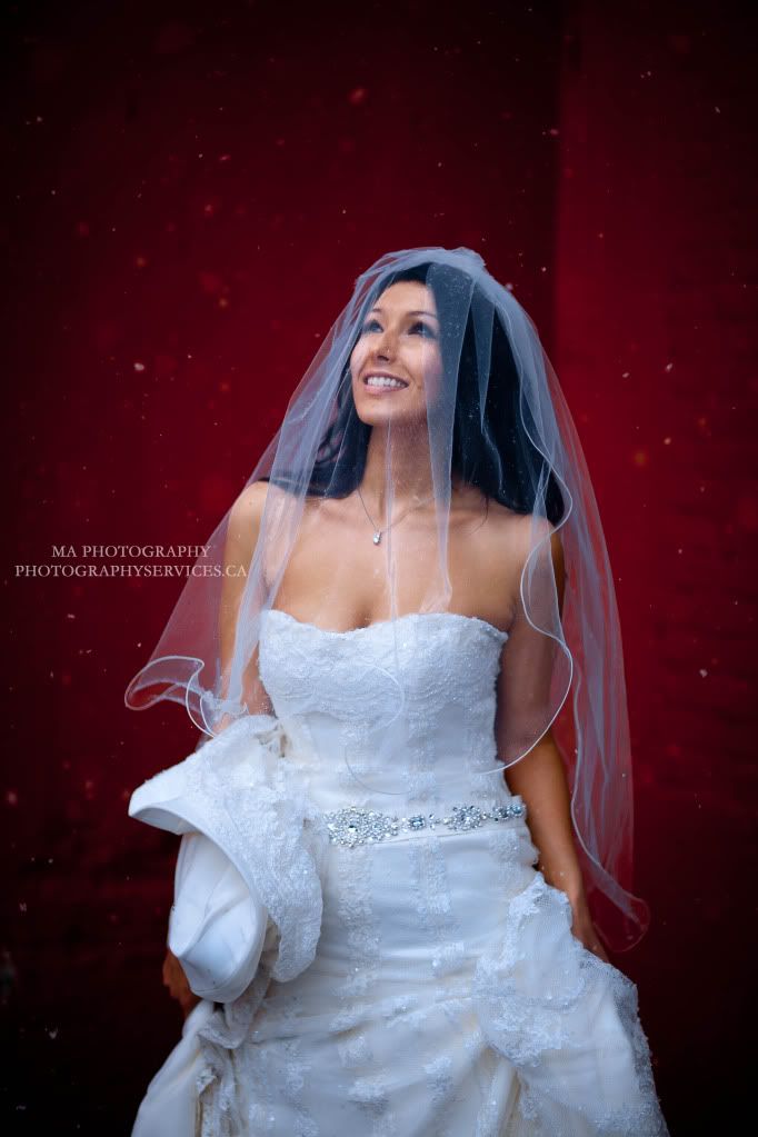 IMAGE: http://i212.photobucket.com/albums/cc52/1move_2007/IMG_9017-Edit.jpg