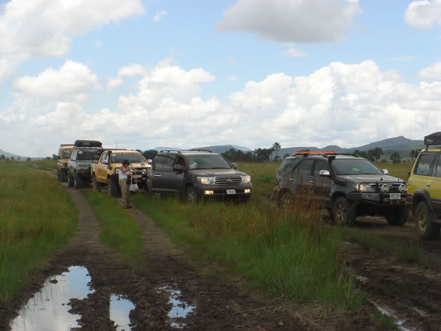 Mosquito-2009-0215.jpg