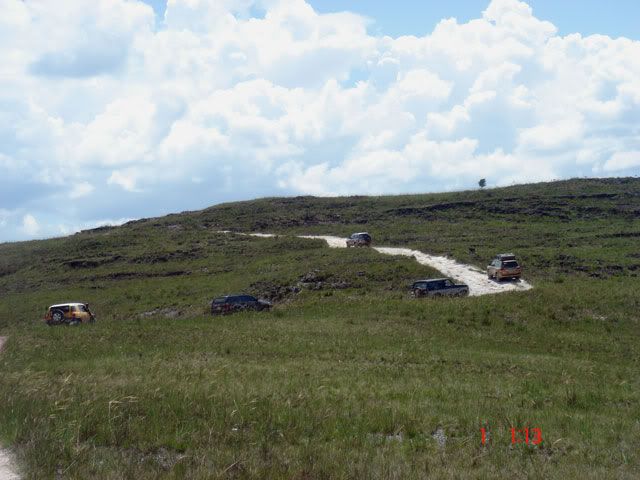 Mosquito-2009-0395.jpg