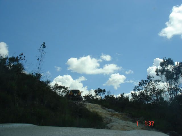 Mosquito-2009-0410.jpg