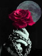 Chained Rose Medium