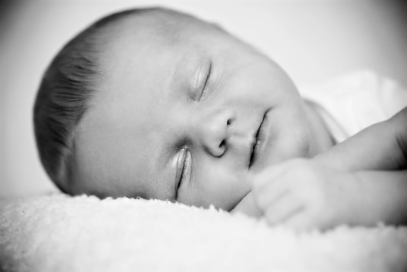 newborn,courtney sprague photography