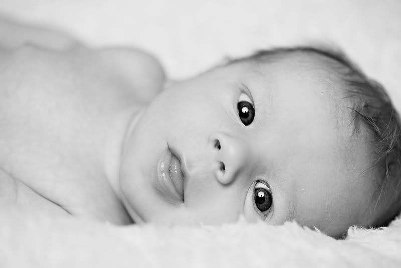 austin newborn photographer baby