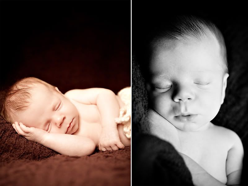 austin newborn photographer baby