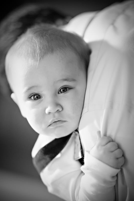 austin,baby photographer,6 month old,baby portraits,courtney sprague photography