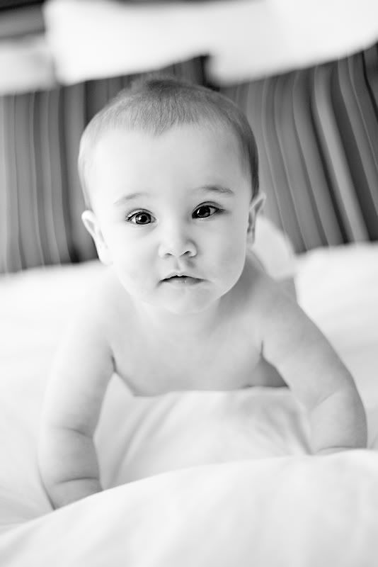 austin,baby photographer,6 month old,baby portraits,courtney sprague photography