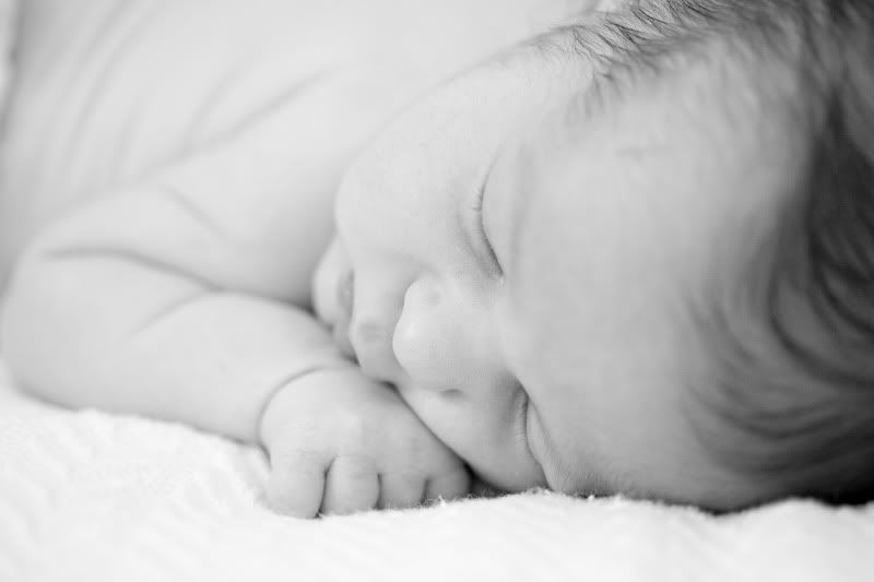 austin newborn photography,courtney sprague photography