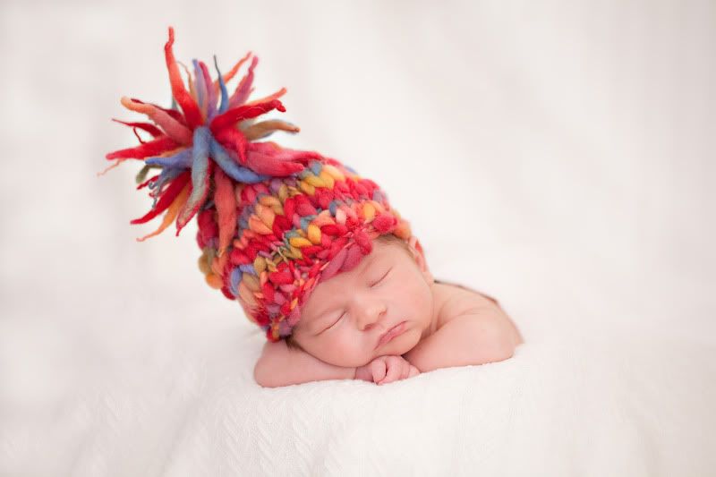 austin newborn photography,courtney sprague photography