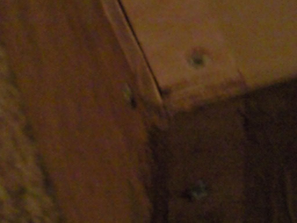 Foto014.jpg