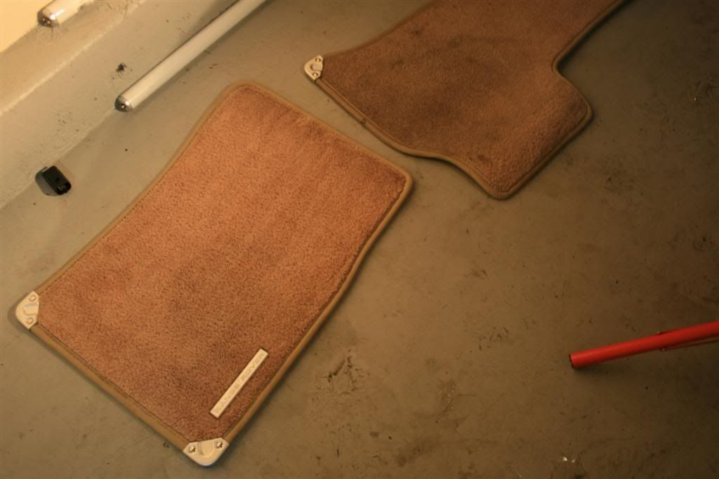 Carpet_AfterLarge.jpg