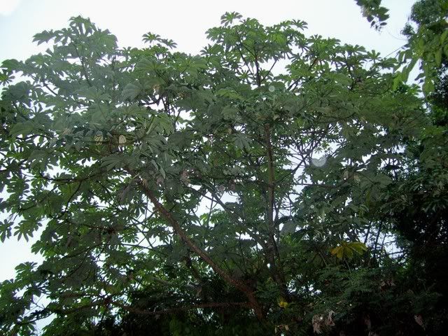 100_0644.jpg