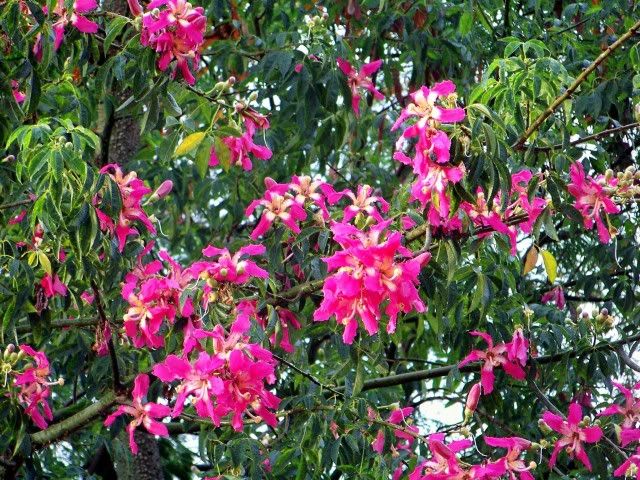 100_5129.jpg