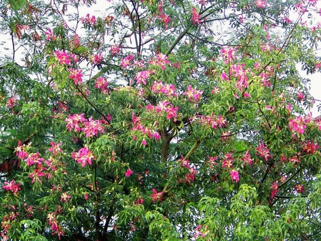 100_5136.jpg