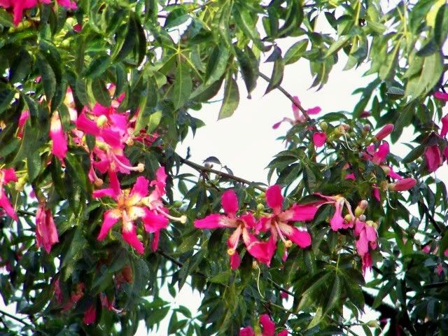 100_5141.jpg