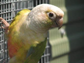 Photo Sharing and Video Hosting at Photobucket