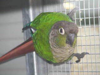 Photo Sharing and Video Hosting at Photobucket