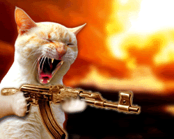 CatFiringGun.gif