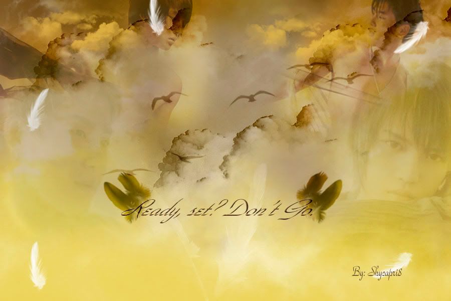 readysetdontgoposter.jpg picture by shycapri8
