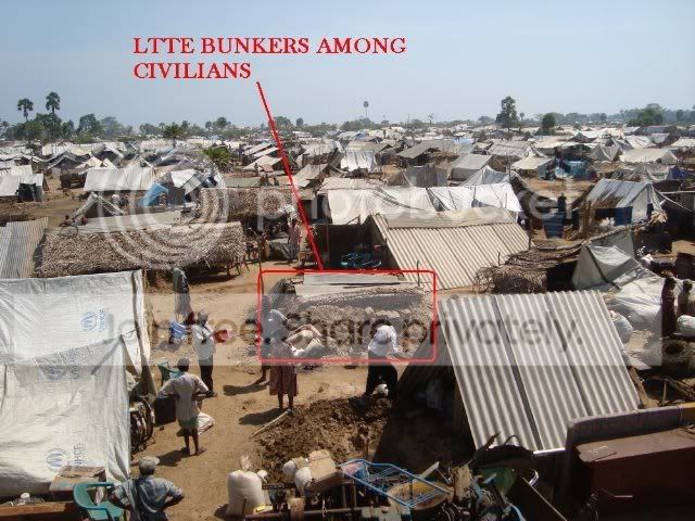 humanshield1.jpg